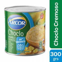 CHOCLO CREMOSO ARCOR x 300g