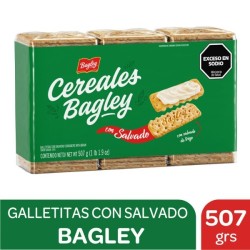 CER. BAGLEY SALV 3x169g